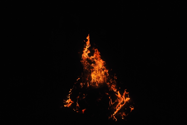 DSC_4550